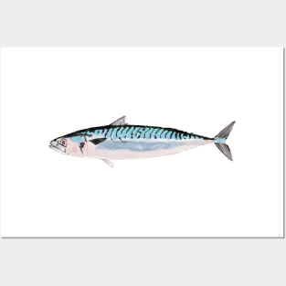 Mackerel Posters and Art